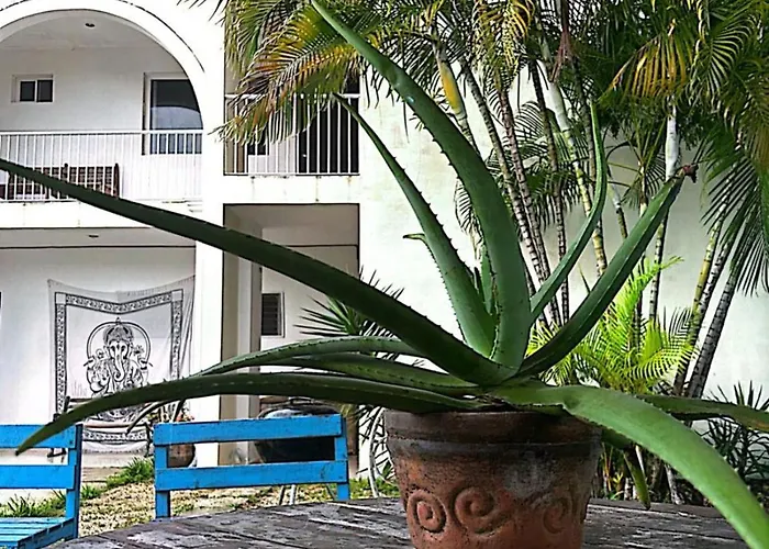 Hotel casa Don Alfonso